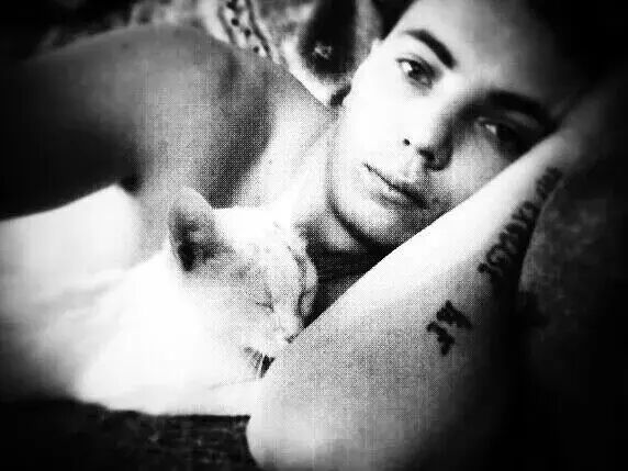 ���������� ���������, ���� ������� ������, 38 ���, ������������ ��� ������, ����� � ���������