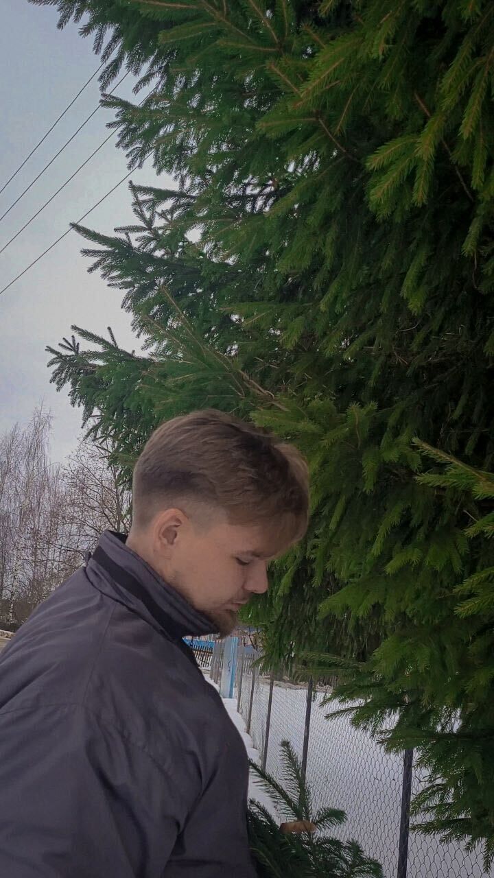  36869852  , 28 ,     
