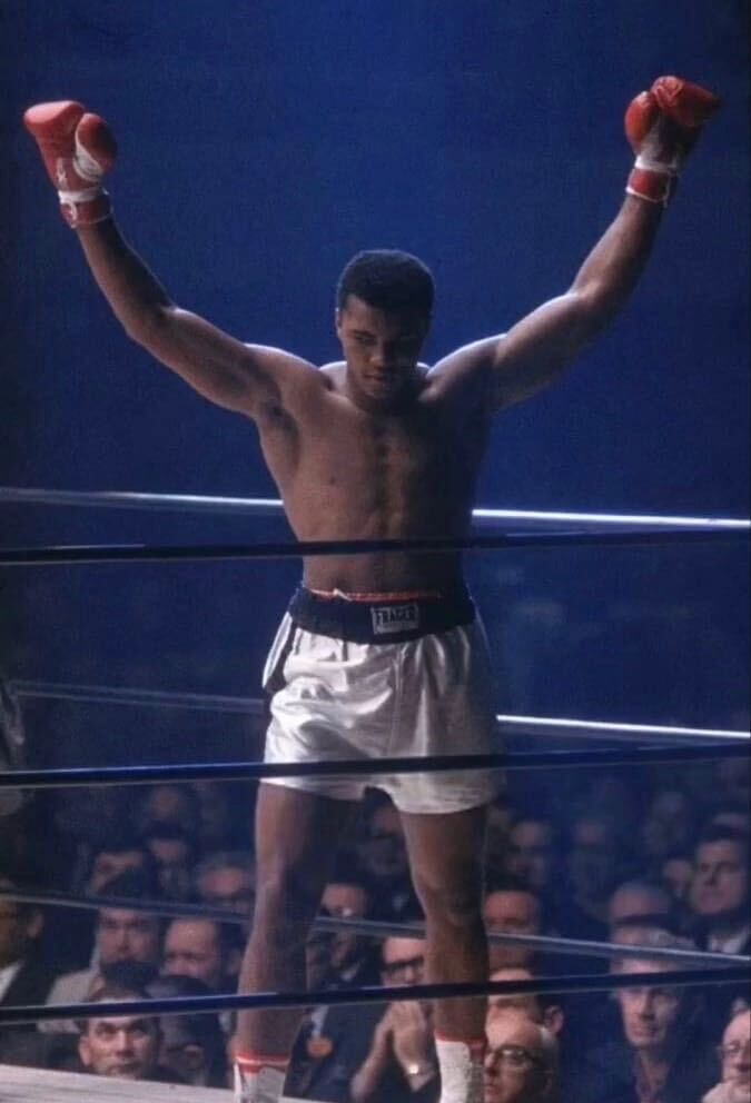 ���� 25179512 ������� ���, 35 ���, ���� ���������� � �����-����������