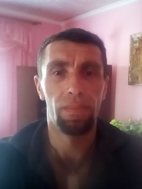  24498202  , 41 ,    