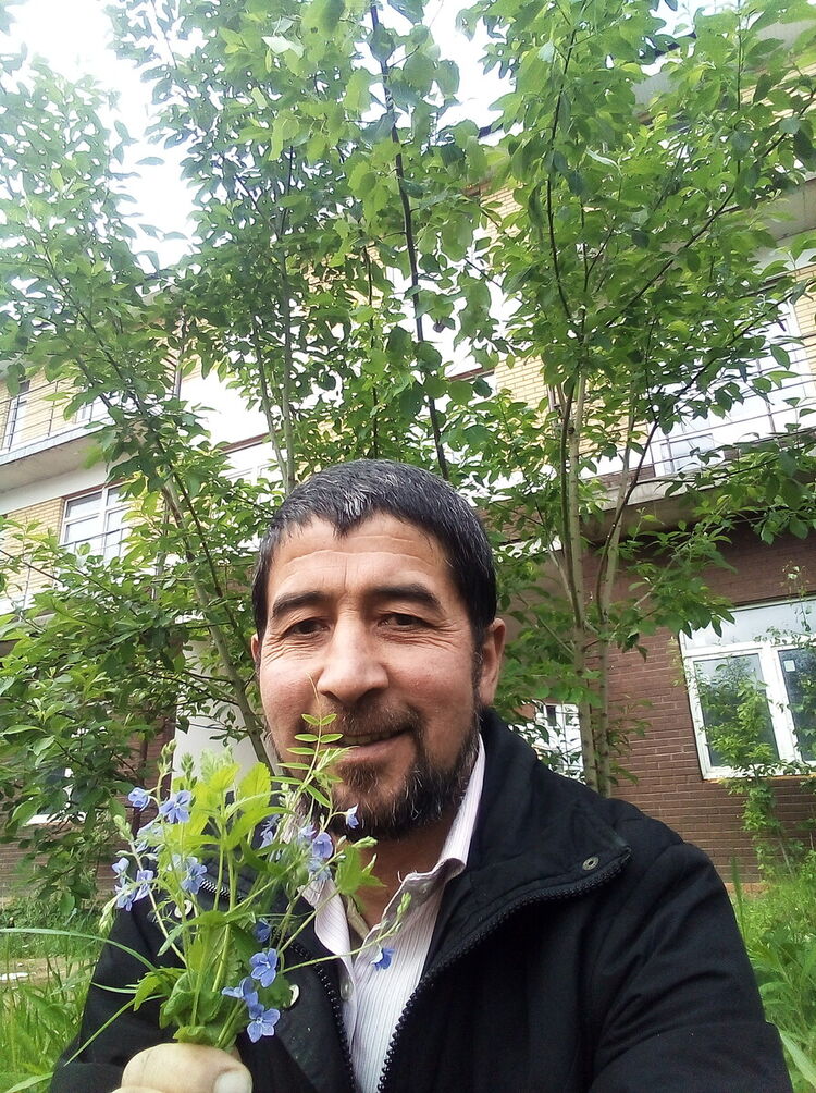 ���������� ������, ���� ������� ����, 44 ����, ������������ ��� ������, ����� � ���������, c�������� ���������