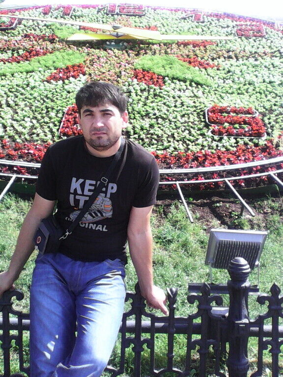  50739872  , 43 ,    