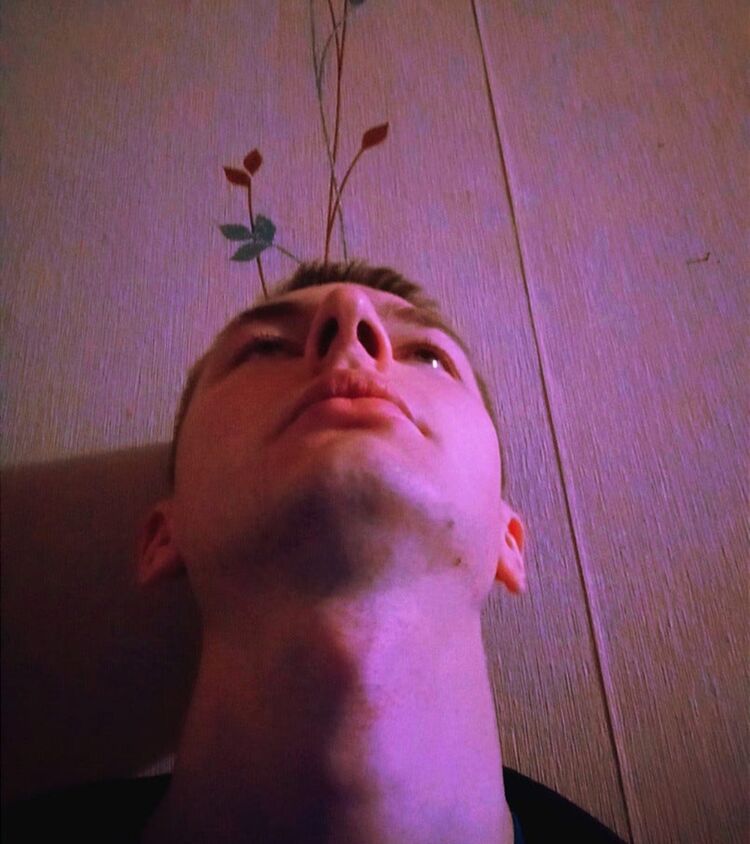 ���� 55342402 ������� �������, 28 ���, ���� ���������� � �����