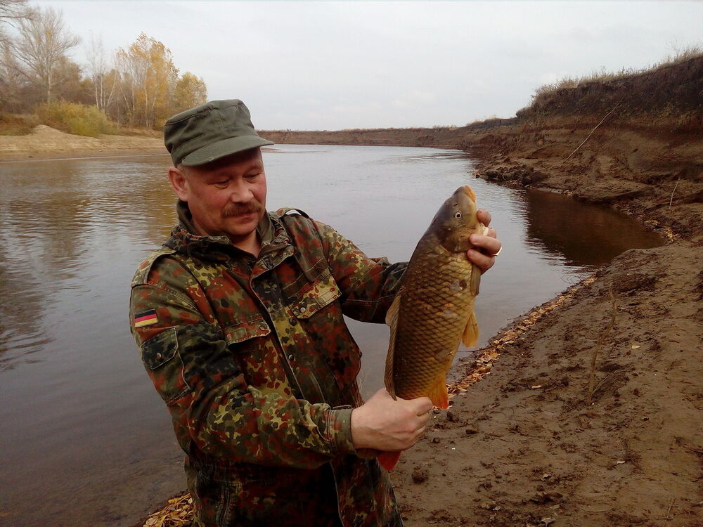 ���� 12230422 ������� ����, 58 ���, ���� ���������� � ����������