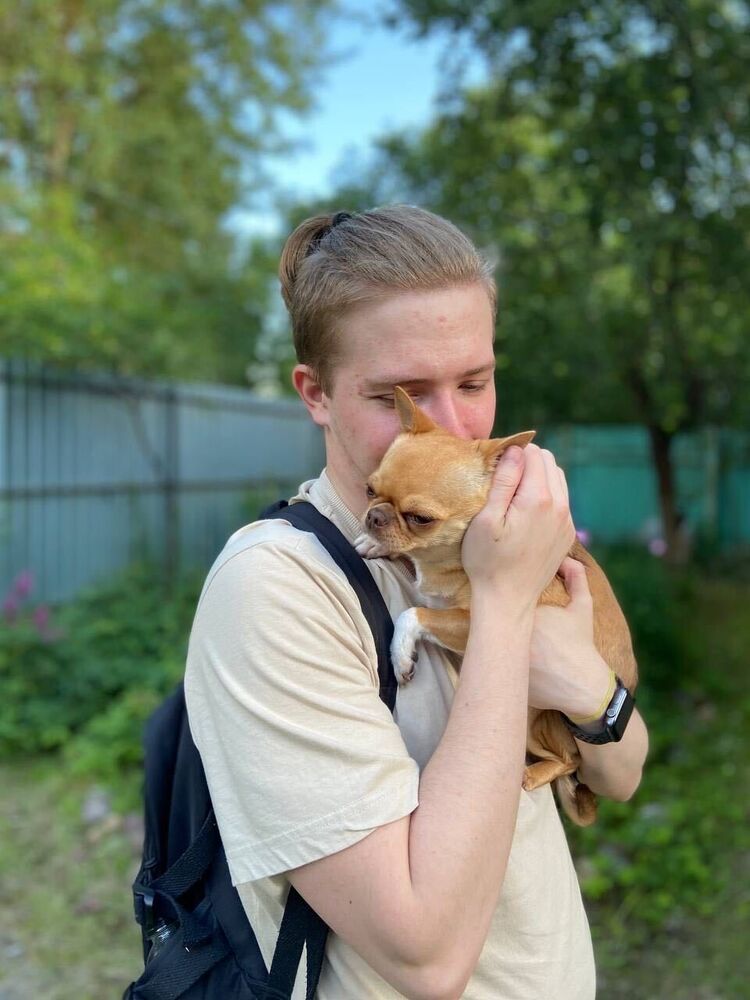 ���������� ������, ���� ����� Ice, 25 ���, ������������ ��� ������, ����� � ���������