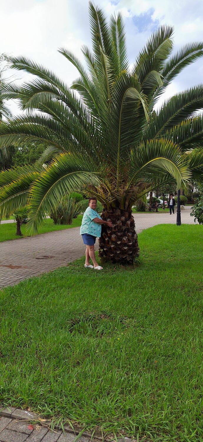  ,   Sparta, 36 ,   ,   