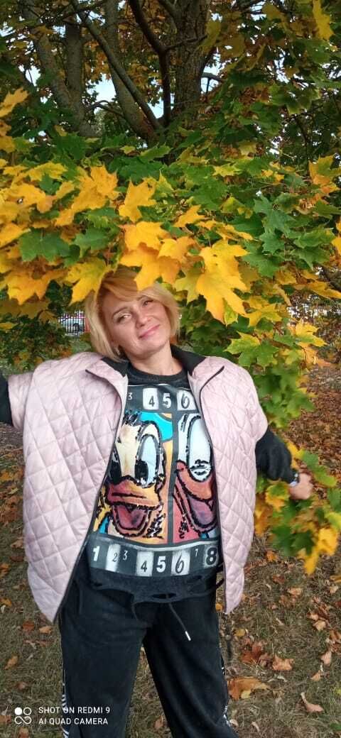 ���� 56006002 ������� ����, 50 ���, ���� ���������� � �������