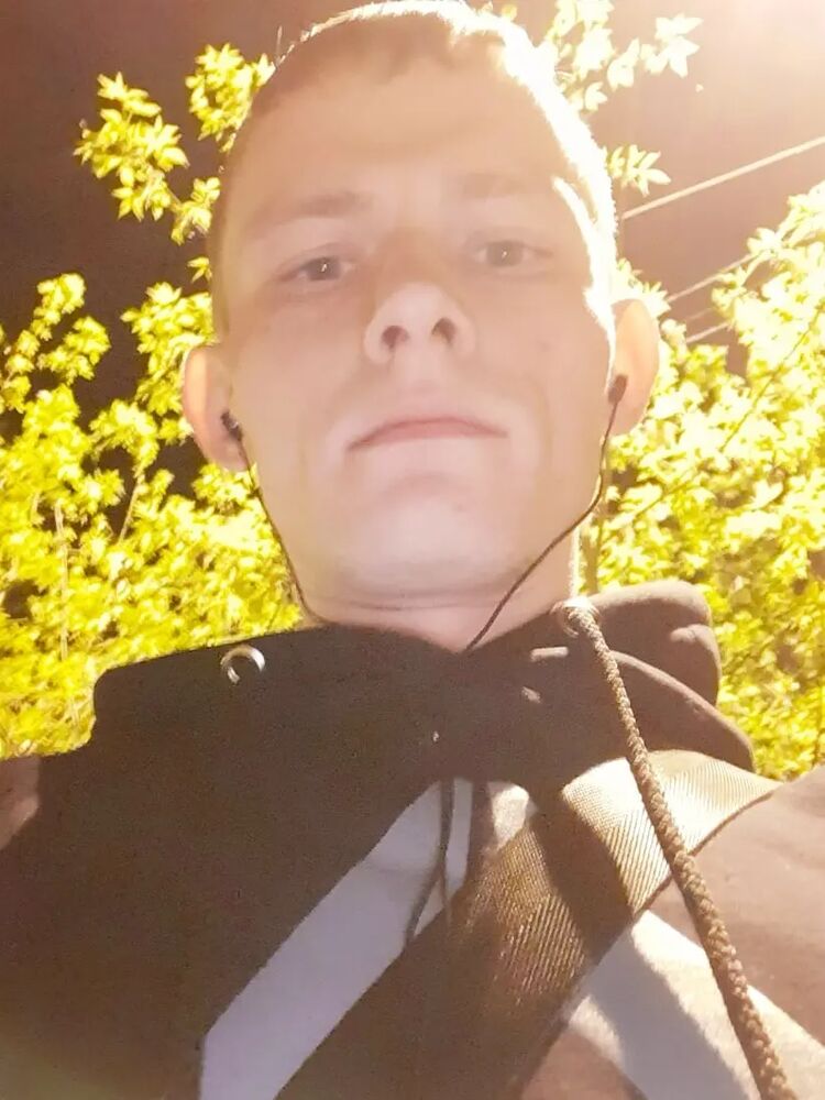  33496782  , 31 ,    