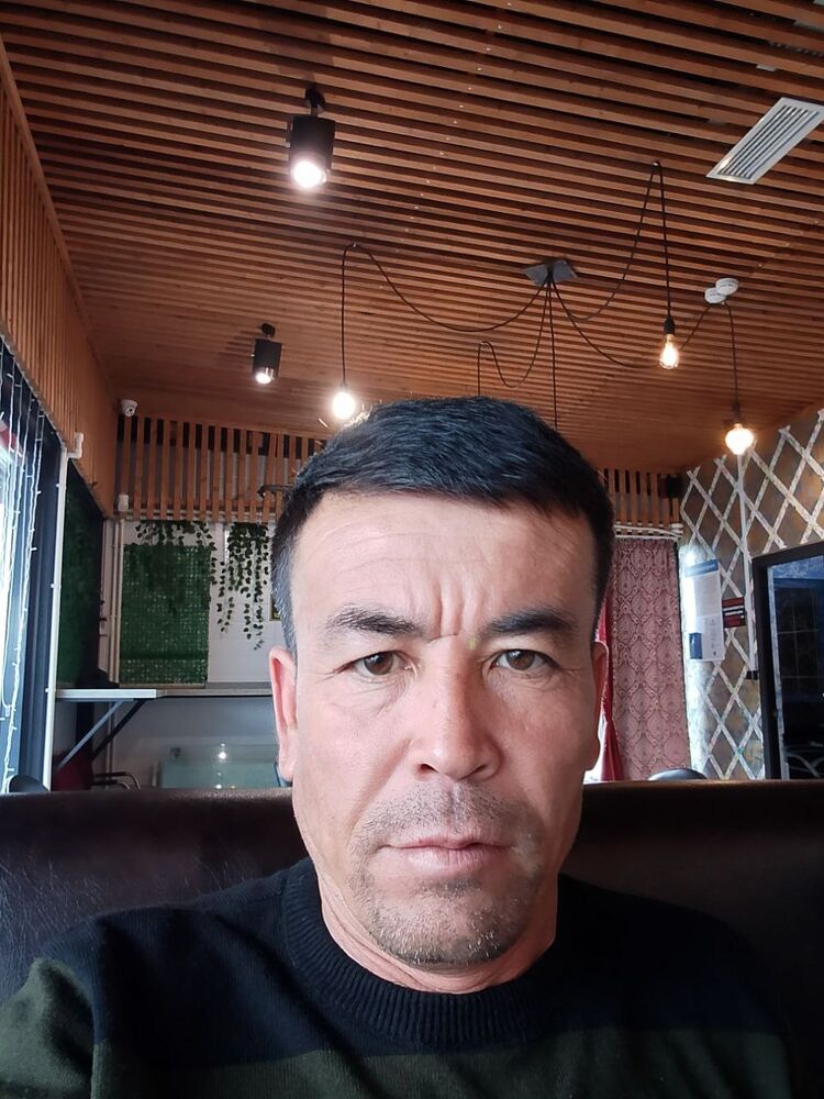  54194732  , 44 ,    -