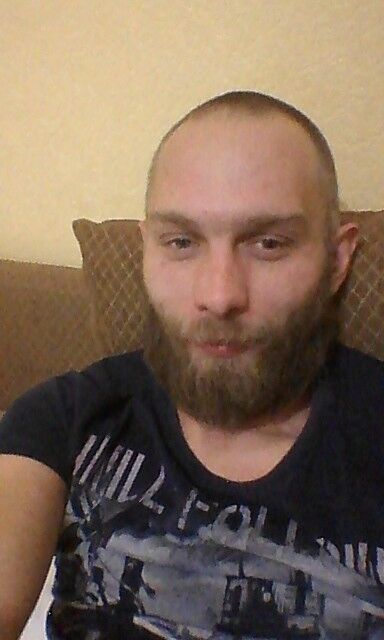  15173192  , 41 ,    -