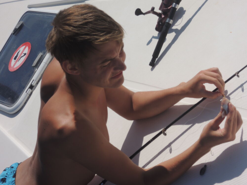 ���������� �����������, ���� ������� ����, 33 ����, ������������ ��� ������, ����� � ���������