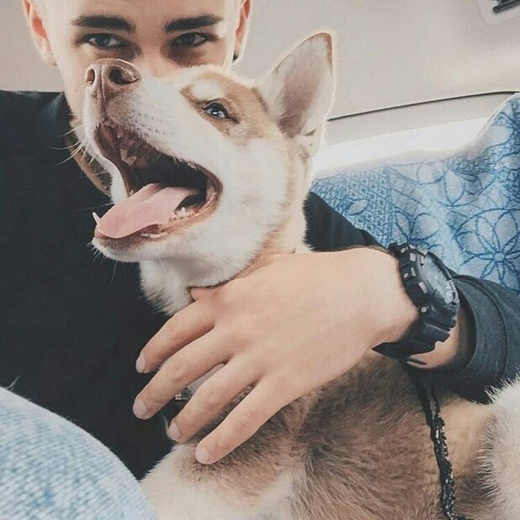 ���������� ���������, ���� ����� ���������, 24 ����, ������������ ��� ������, ����� � ���������