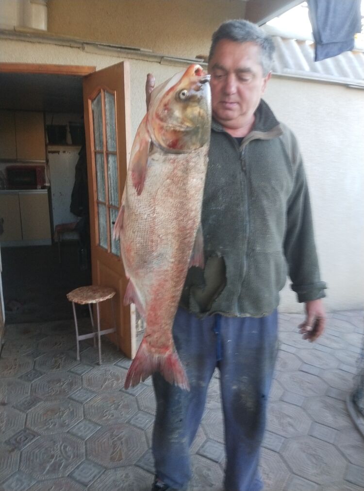  ,   , 58 ,   c 