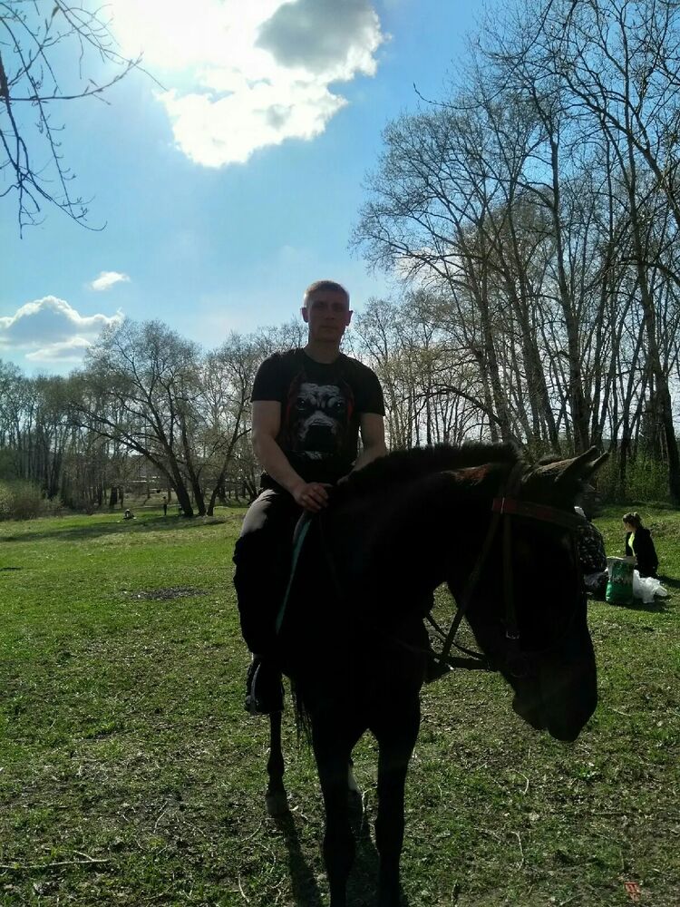 ���� 38784312 ������� ������, 31 ���, ���� ���������� � ������