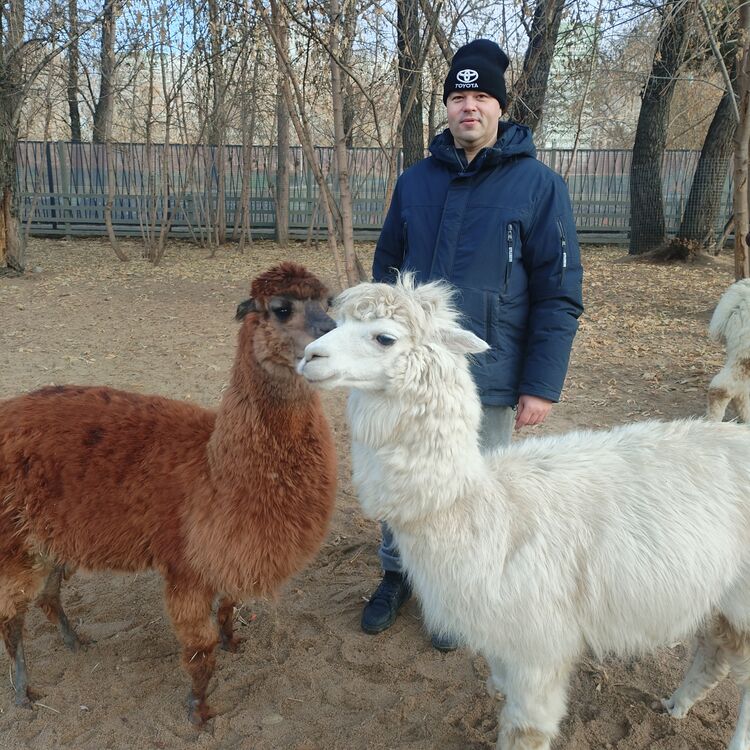 ���������� ����, ���� ������� ������, 41 ���, ������������ ��� ������, ����� � ���������, c�������� ���������