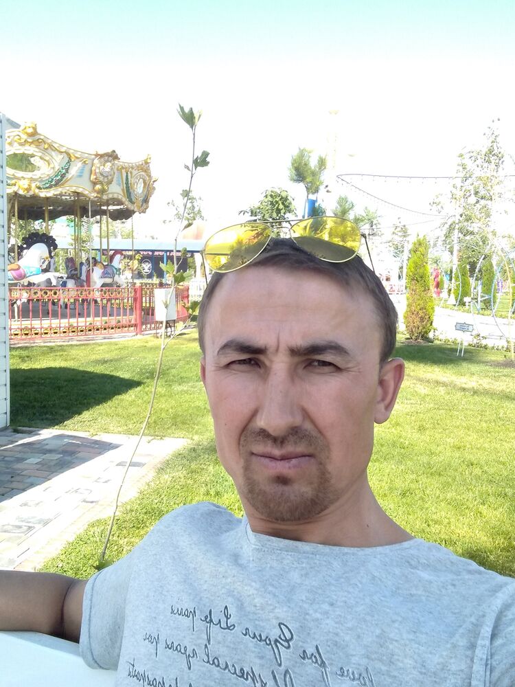  45848342  , 38 ,    
