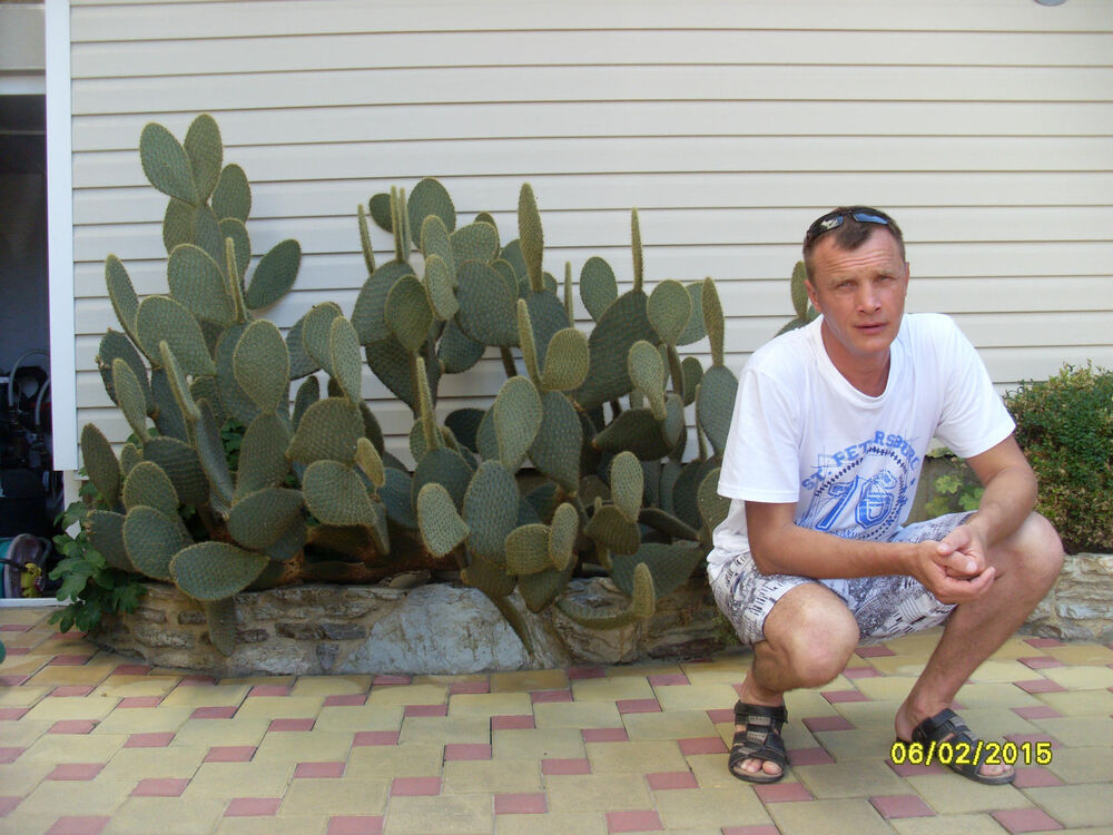 ���������� ���������, ���� ������� �����, 53 ����, ������������ ��� ������, ����� � ���������, c�������� ���������, ���������