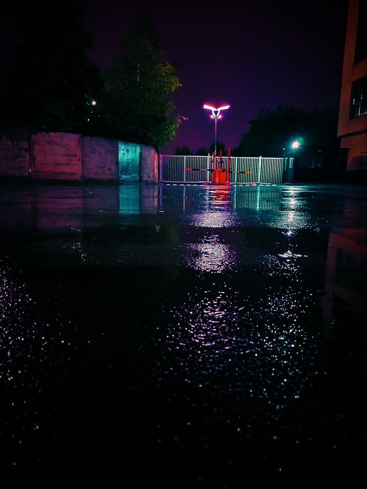 ���������� �����-���������, ���� ����� ������, 23 ����, ������������ ��� ������, ����� � ���������