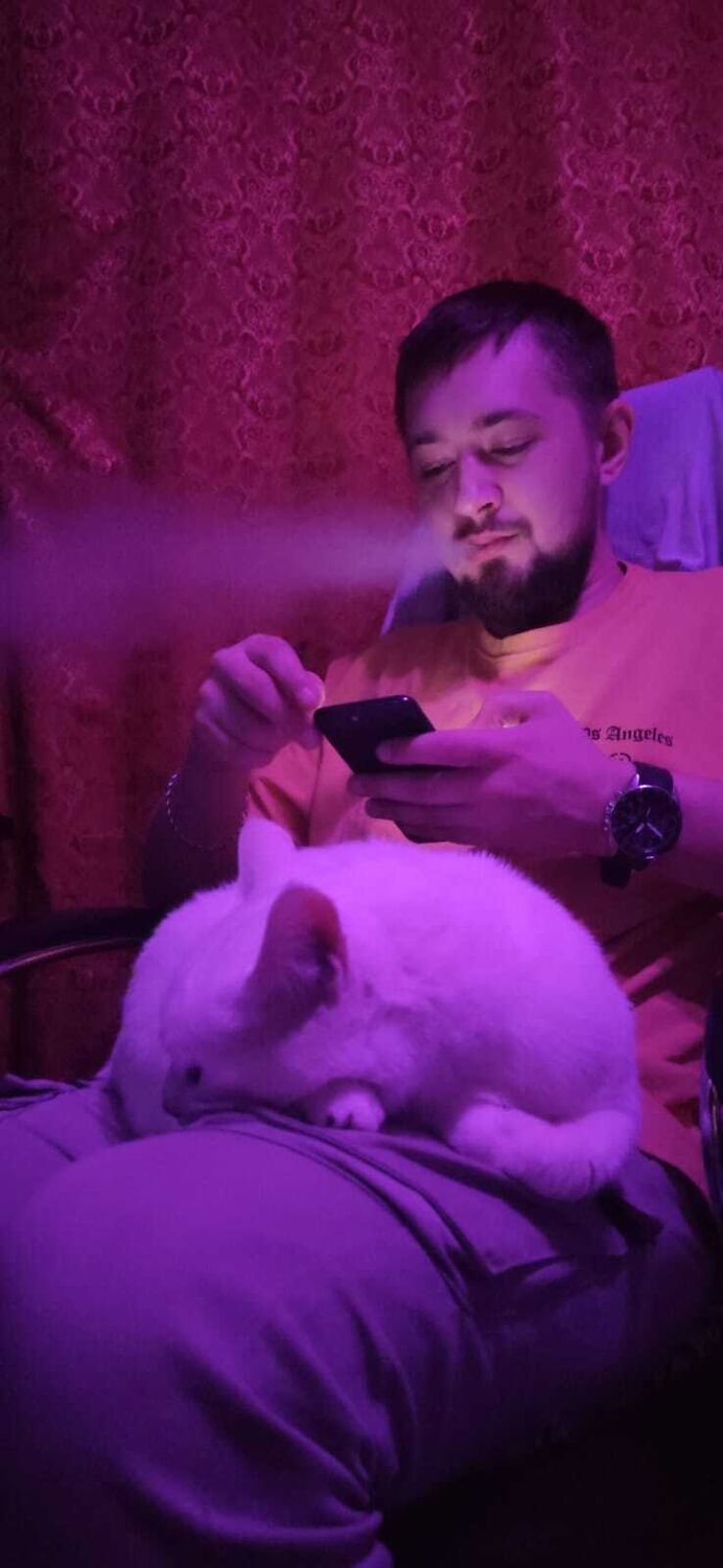 ���������� �����������, ���� ������� �������, 31 ���, ������������ ��� ������, ����� � ���������