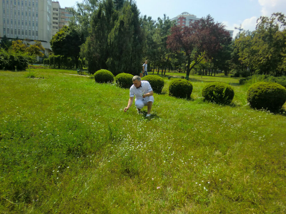 ���������� �������, ���� ������� ANDRE, 48 ���, ������������ ��� ������