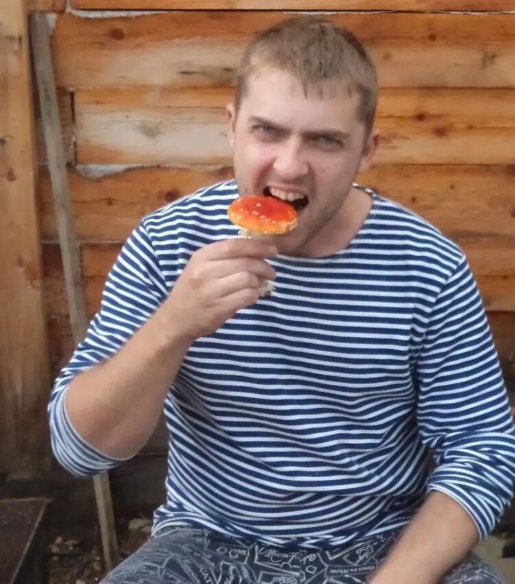 ���� 31258442 ������� ������, 40 ���, ���� ���������� � ����������