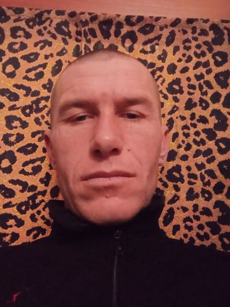  24703452  , 37 ,    