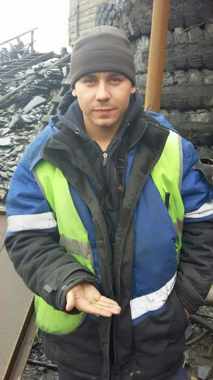  25350672  , 31 ,    