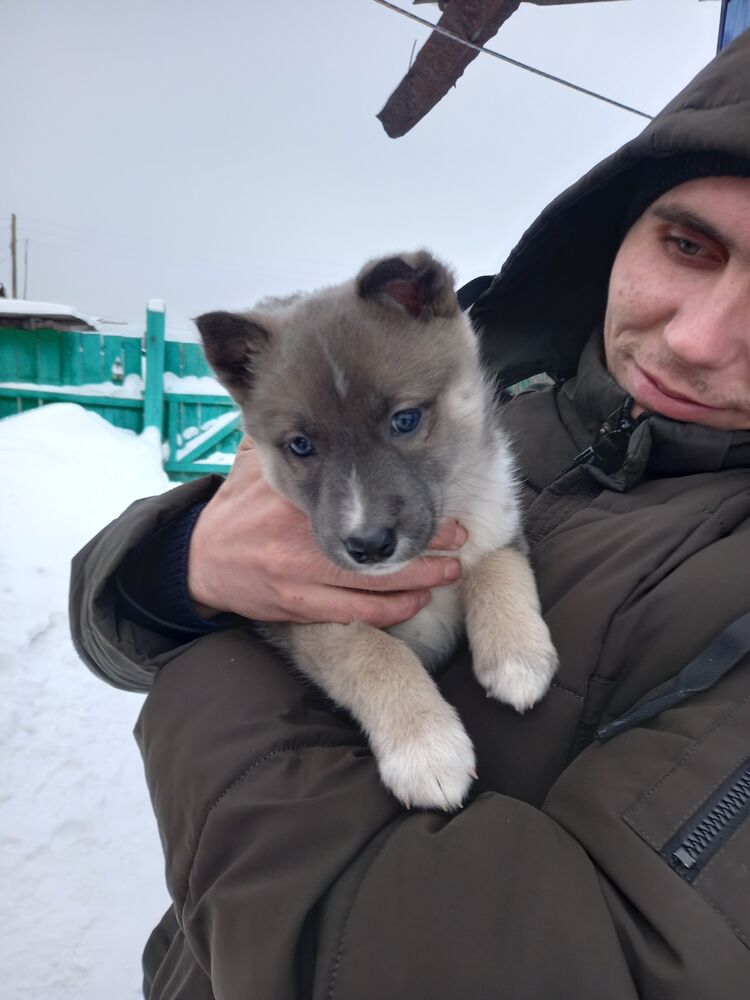 ���� 25936242 ������� �������, 31 ���, ���� ���������� � ������������