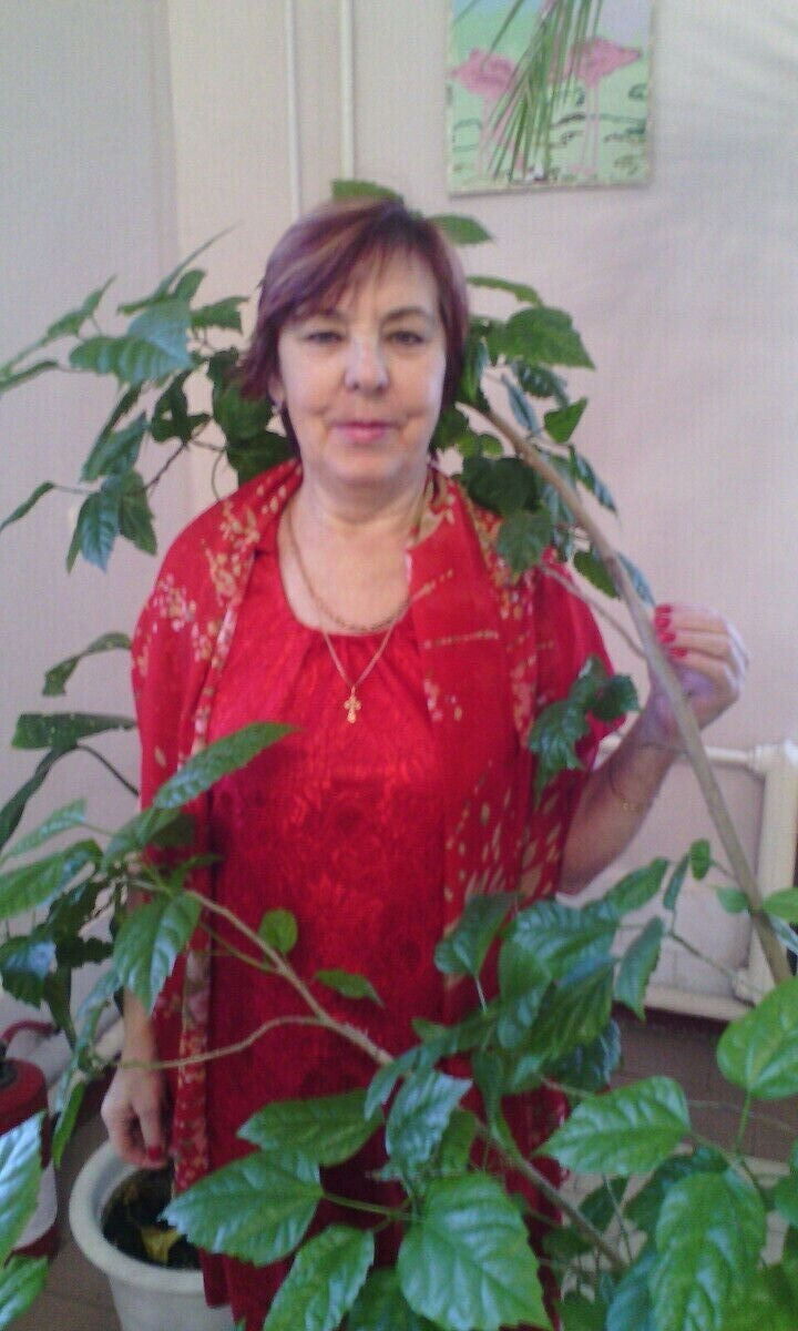  ,   , 67 ,     , c , 