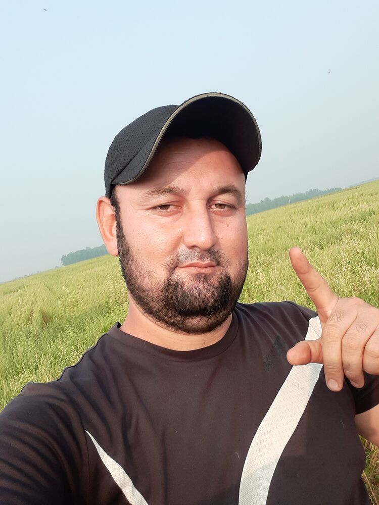  30336182  , 31 ,    