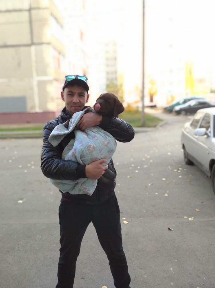 ���������� ���, ���� ������� �����, 39 ���, ������������ ��� ������, ����� � ���������, c�������� ���������