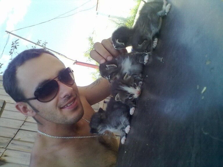 ���� 4140262 ������� ��� ������, 38 ���, ���� ���������� � ������