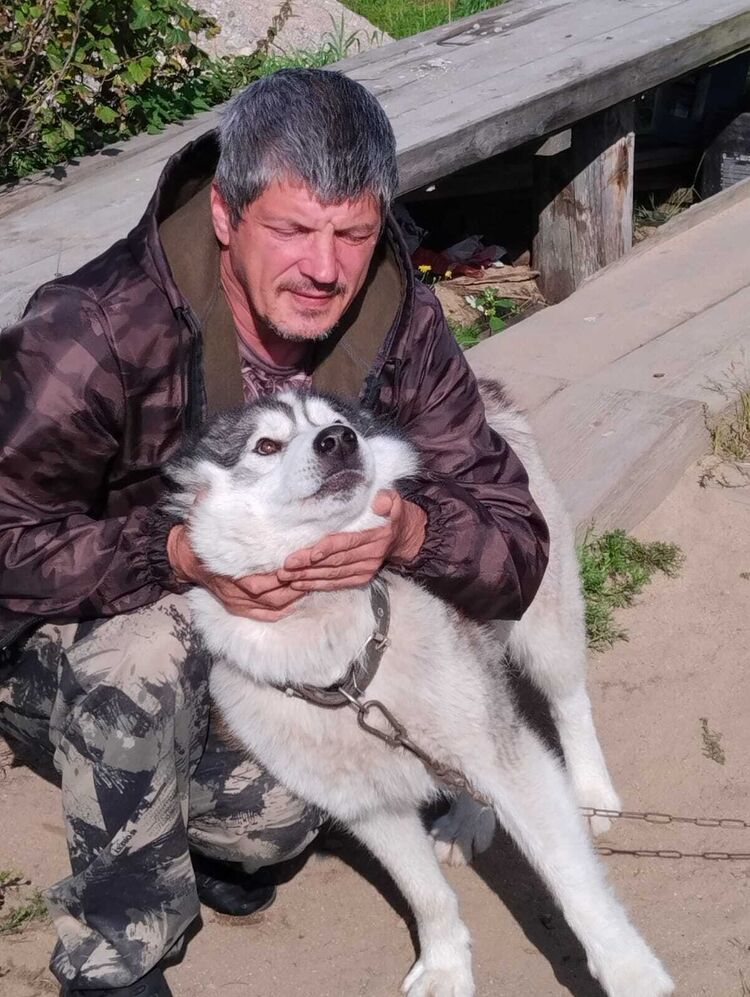  40397192  , 46 ,    -