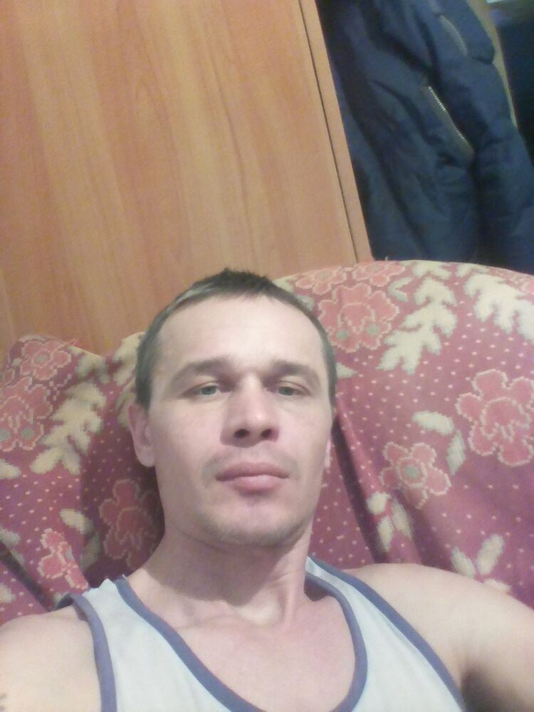  8986462  , 46 ,    -