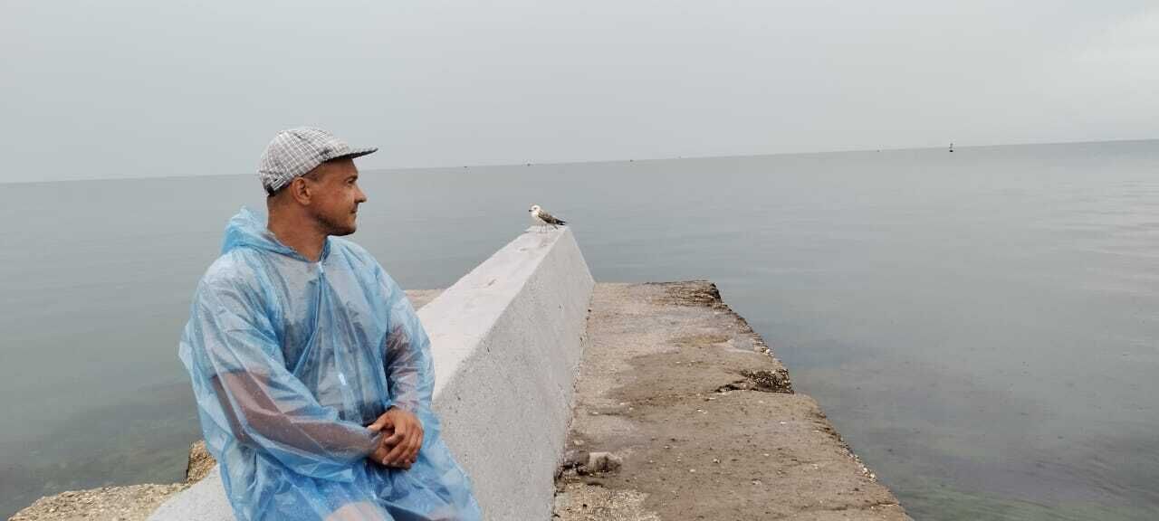  31103342  , 39 ,    --