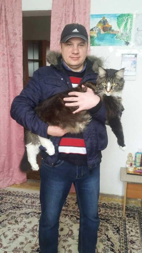 ���� 11615842 ������� ����, 43 ����, ���� ���������� � ������