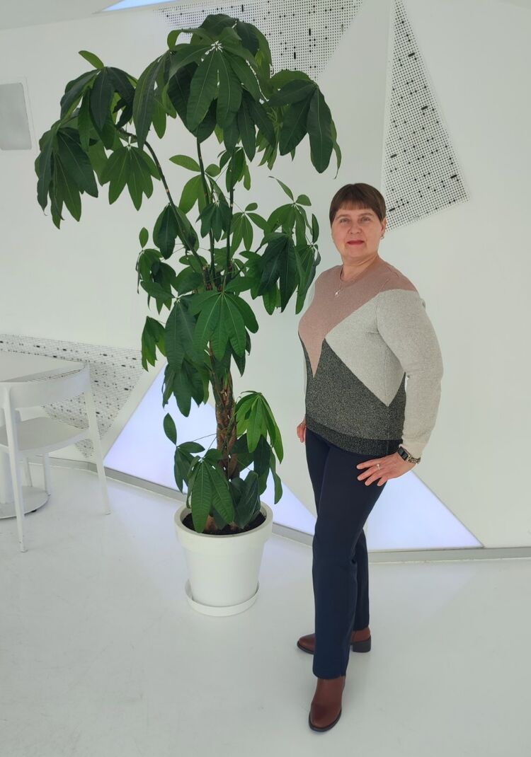  ,   Nata, 50 ,     , c , 