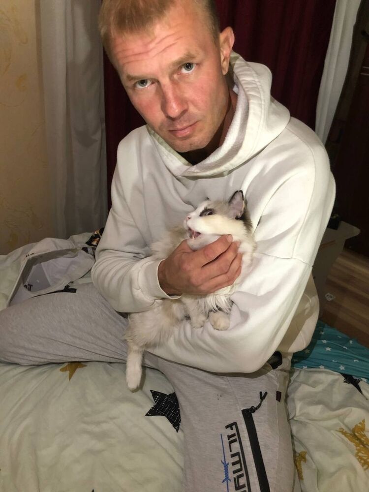 ���������� ���������, ���� ������� ������, 40 ���, ������������ ��� ������, ����� � ���������, c�������� ���������, ���������