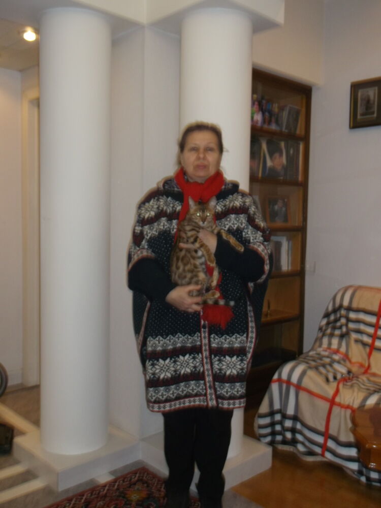 ���� 47958092 ������� �������, 60 ���, ���� ���������� � ������