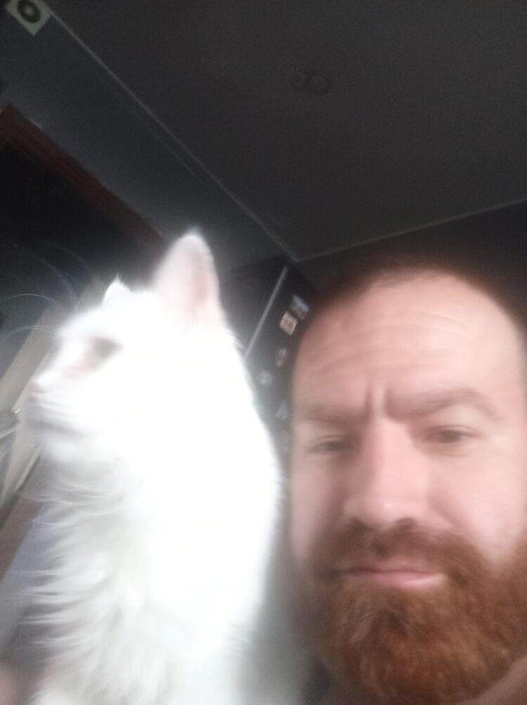  29019222  , 41 ,    -