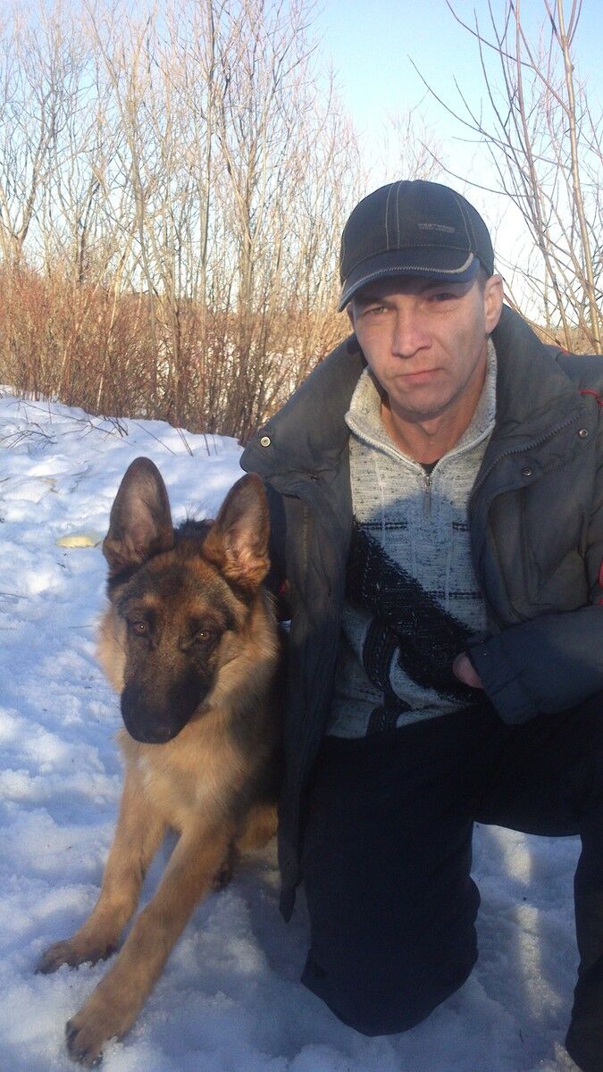 ���� 6453152 ������� �����, 50 ���, ���� ���������� � ����������