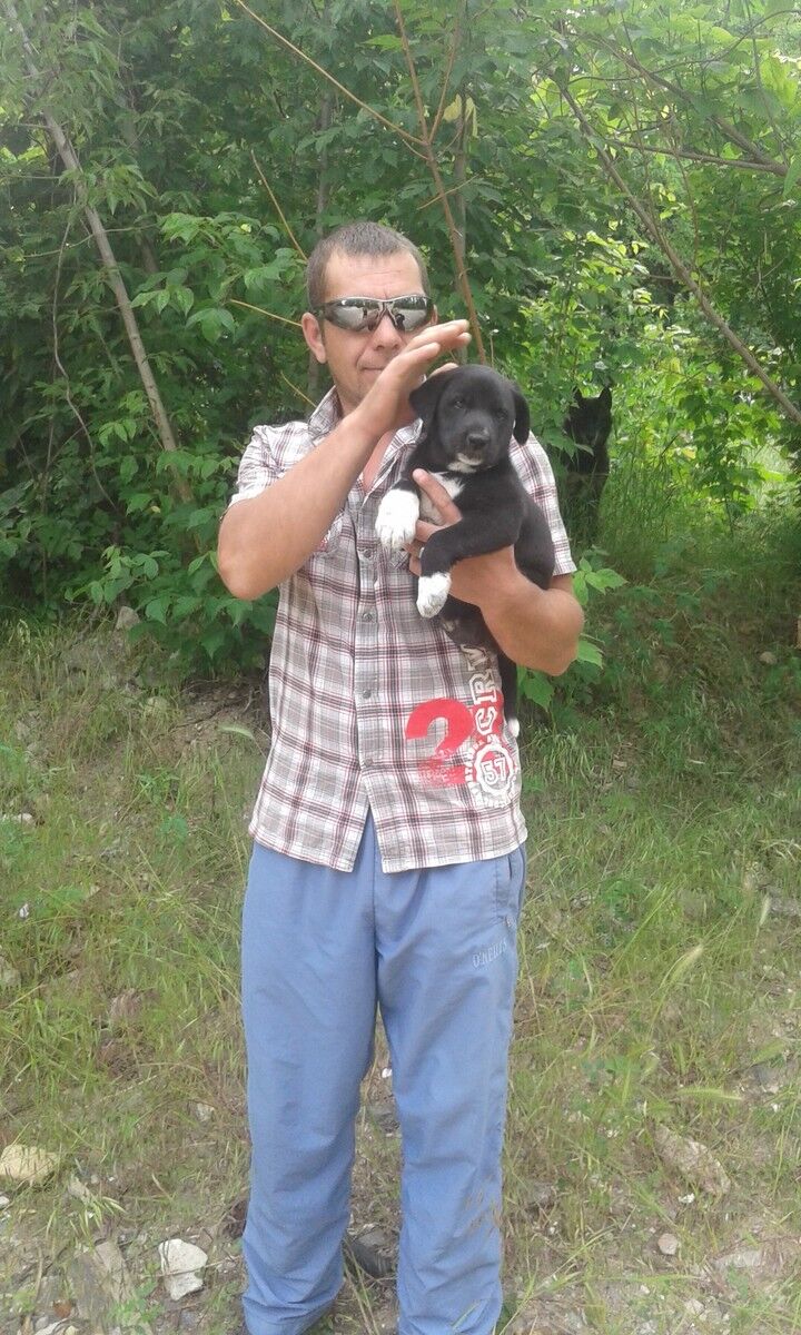  ,   Sergey, 46 ,   ,   , c 