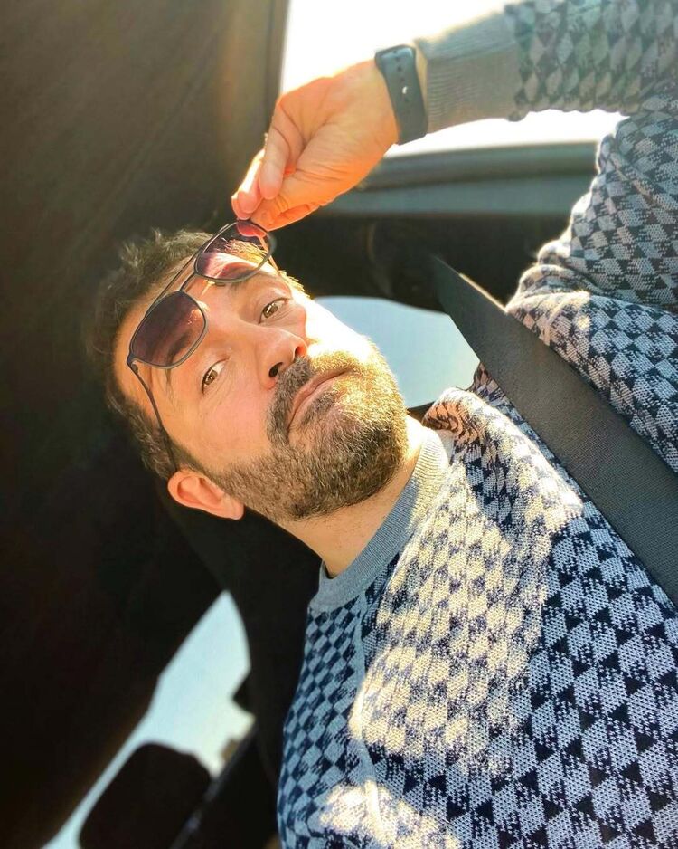  50193532  , 41 ,    -