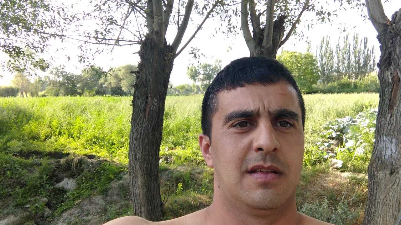  33585362  , 33 ,    