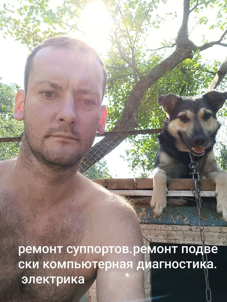 ���������� �����, ���� ������� ���������, 38 ���, ������������ ��� ������, ����� � ���������, c�������� ���������, ���������