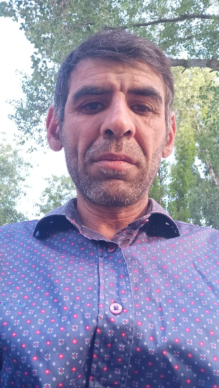  27330632  , 49 ,    