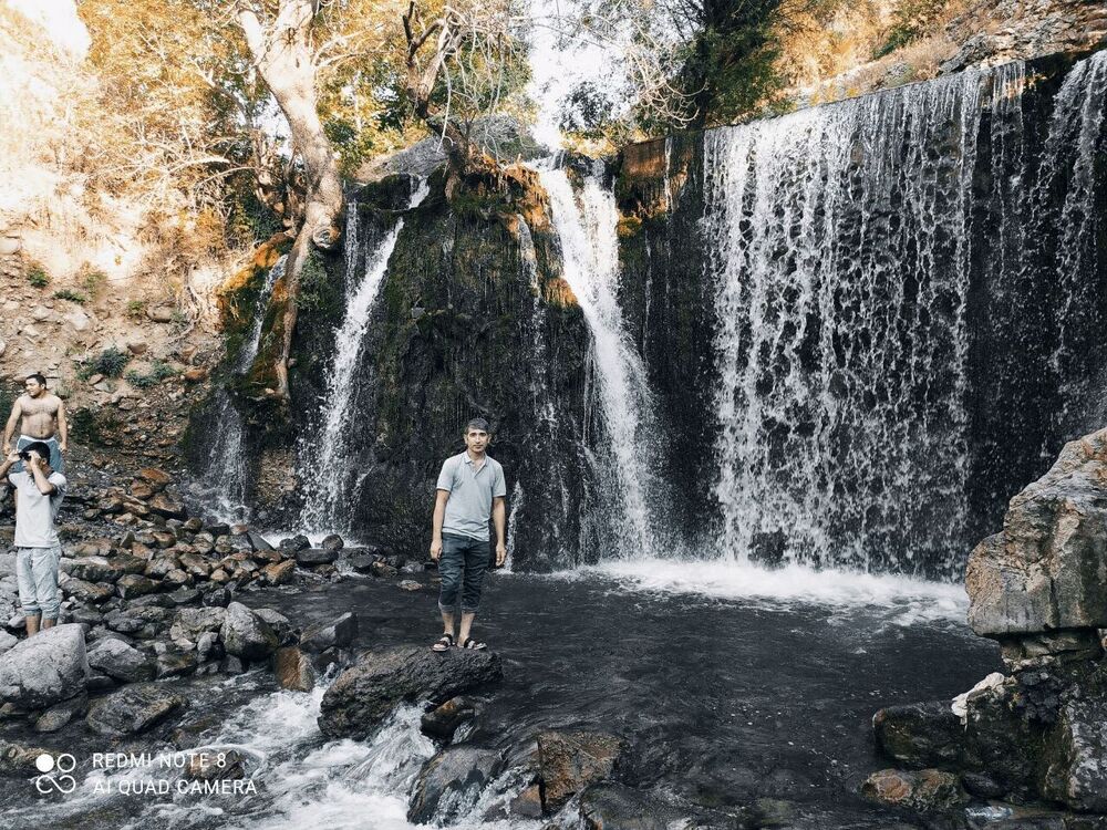  24138992  Avaz, 46 ,    