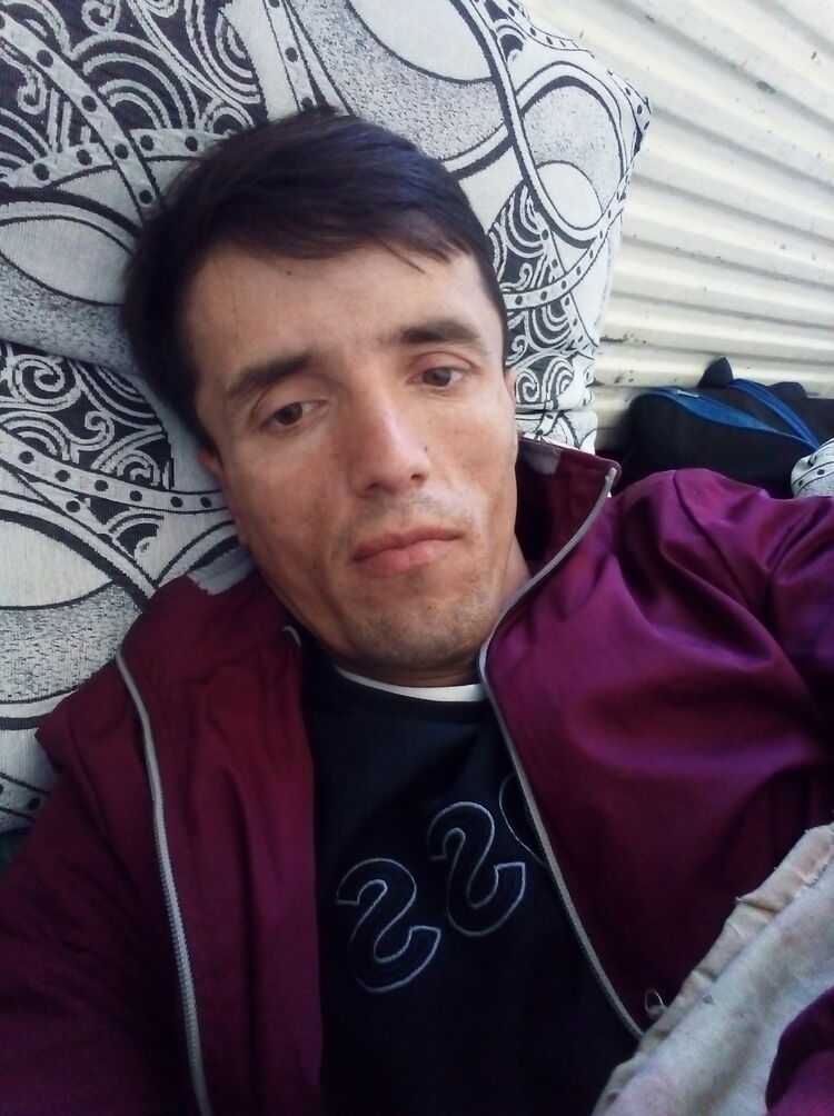  43377822  , 27 ,    