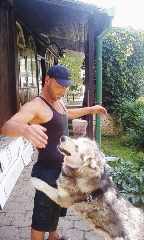 ���������� ���������, ���� ������� Raxim, 34 ����, ������������ ��� ������, ����� � ���������