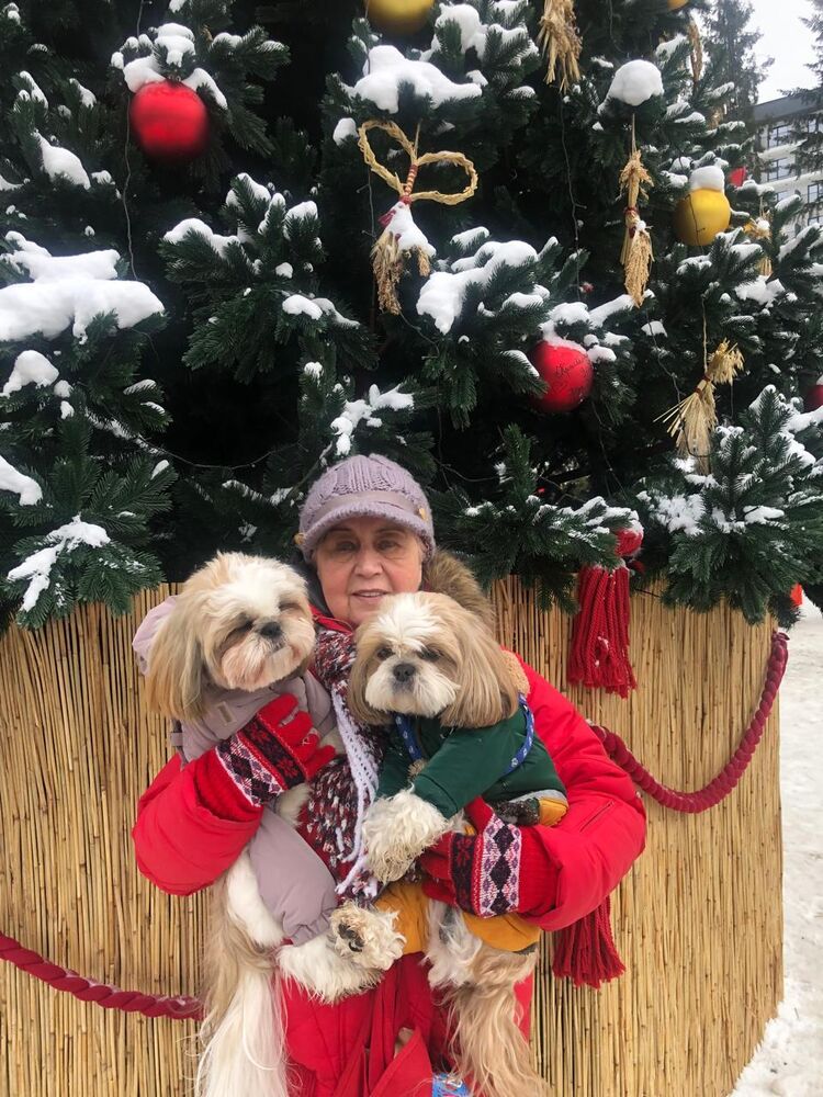 ���������� ����, ���� ������� ������, 74 ����, ������������ ��� c�������� ���������